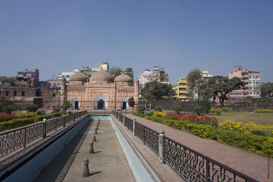 DSC05088