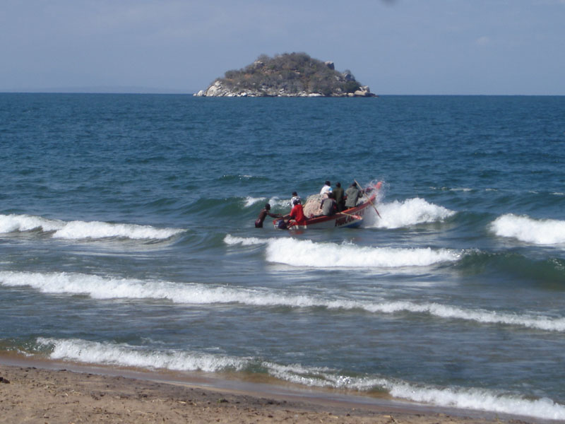 DSC01218