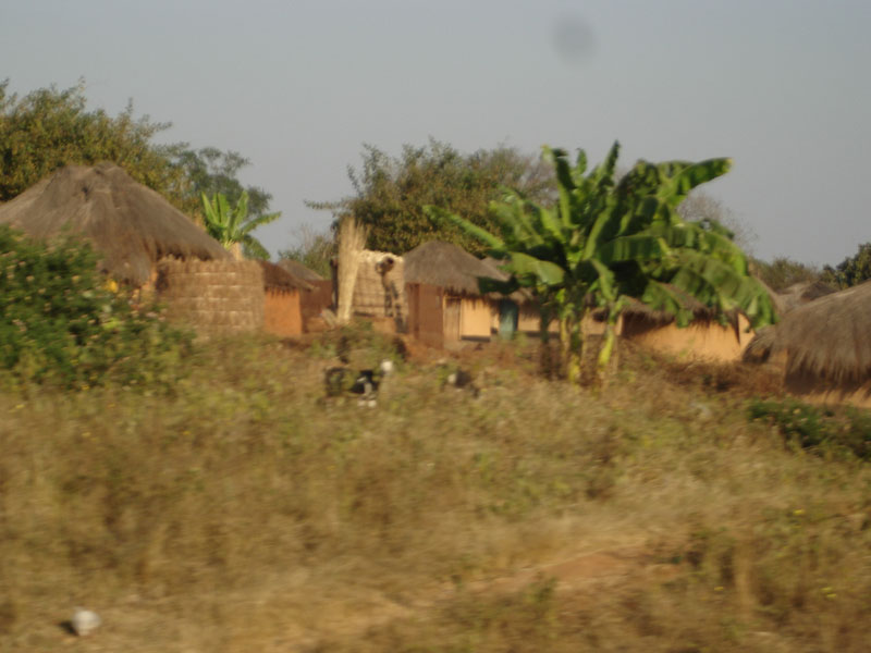 DSC01547