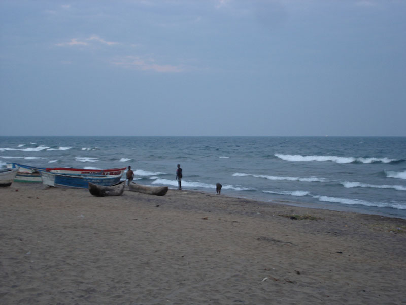 DSC01562