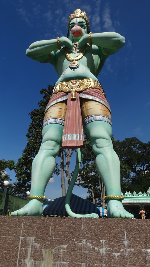 DSC03983